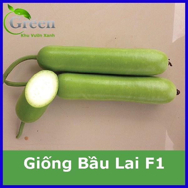 Hạt Giống Bầu Lai F1 Sai Trái