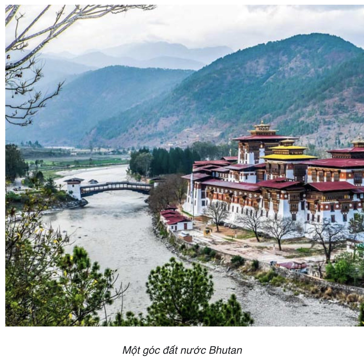 Trầm que Bhutan - báu vật cúng dường