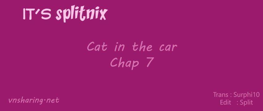 cat in the car chapter 7 1