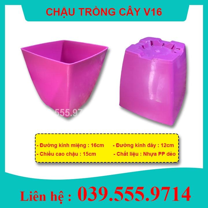 COMBO 10 Chậu Nhựa Trồng Cây V16 - Chậu bền, đẹp, giá rẻ