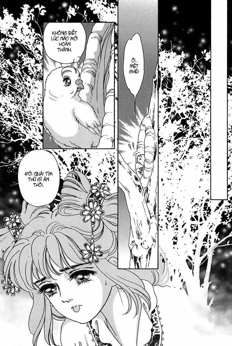 bird of youth chapter 4 2