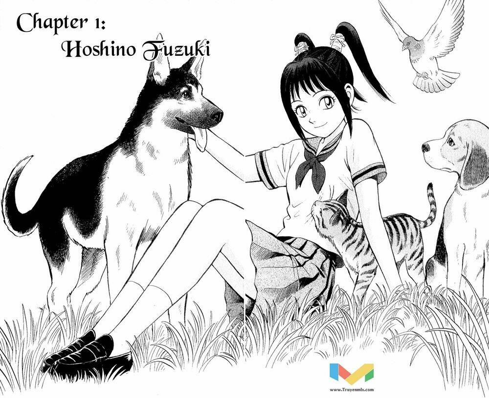 animal sense chapter 1 10