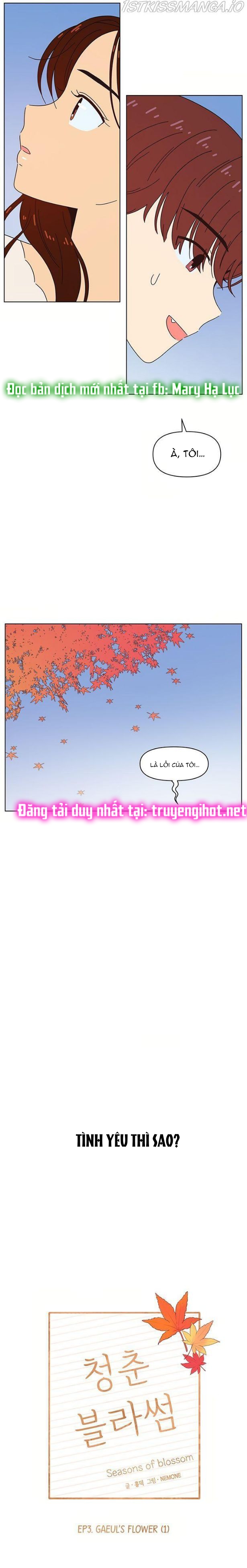 thanh xuân rực rỡ - season of blossom chapter 61.1 10