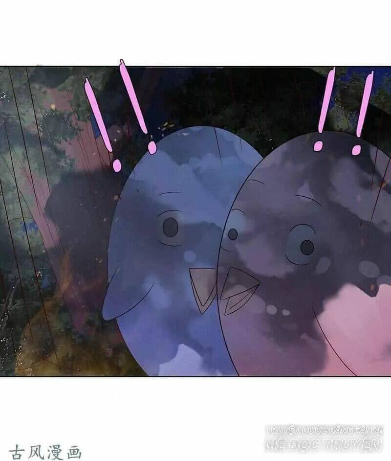 băng sơn học trưởng không được chọc chapter 59.2 6