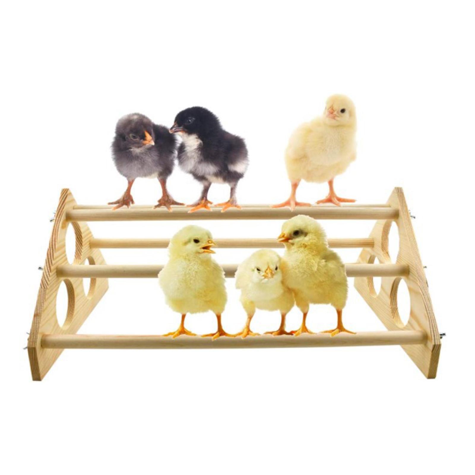 Wooden Parrot Bird Stand Tree Branch Hanging Toys Cage Perches Pet