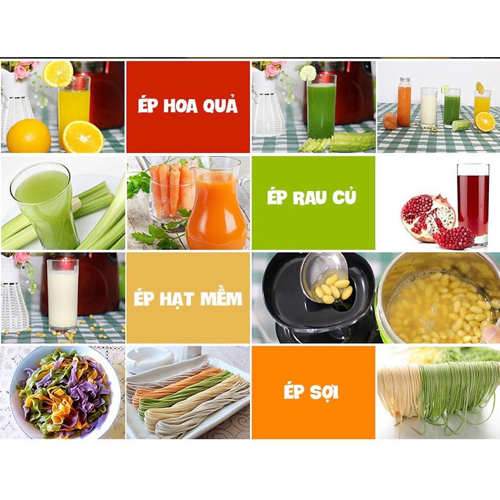 Máy ép chậm cỡ lớn RH-312 ép rau củ hoa quả 95% lượng nước