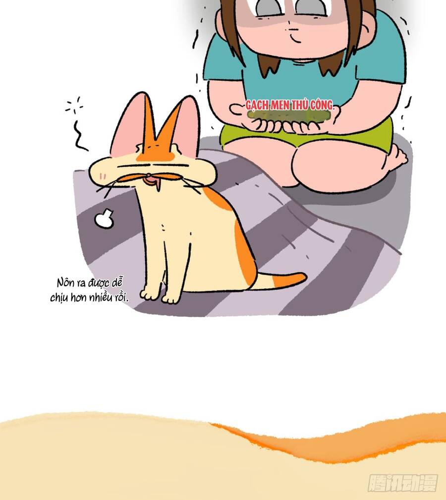 a mãn và mạch trà chapter 176 3