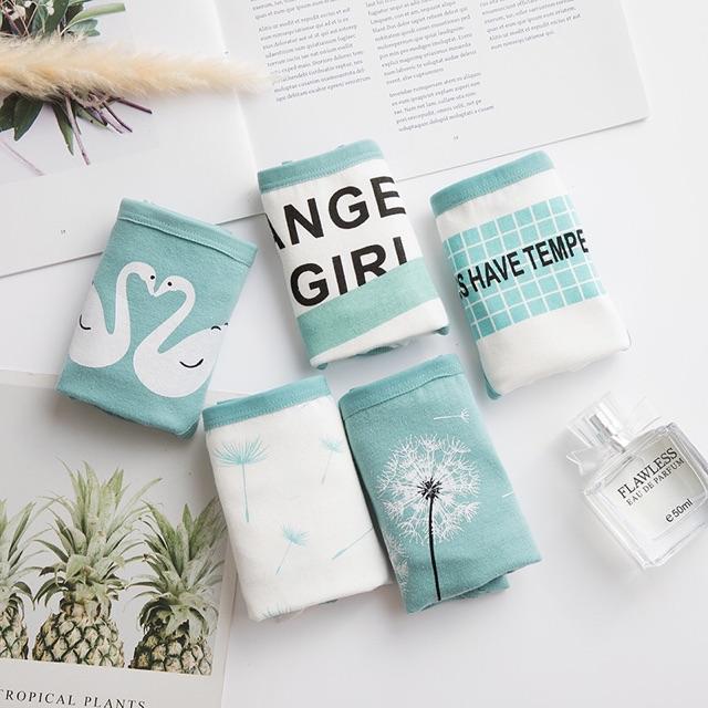 Quần Lót Nữ Cotton Kháng Khuẩn ANGI RISINgang Eo Thời Trang Hàn Quốc Hàng Loại Đẹp.