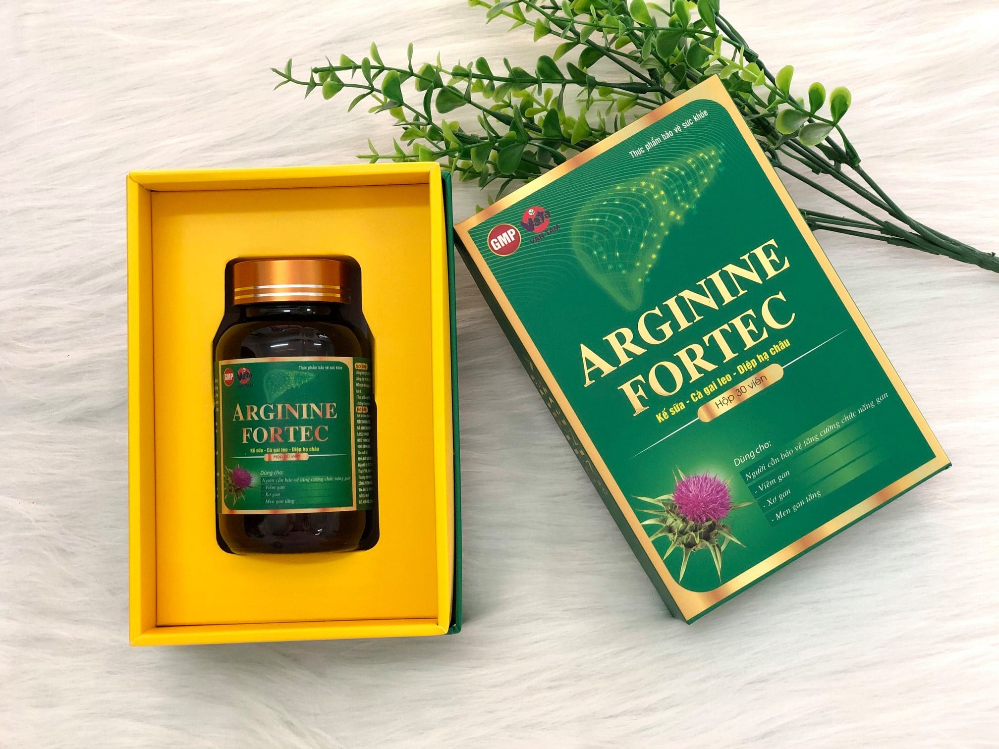 Viên Uống Thanh Nhiệt Mát Gan Arginine Fortec Hỗ Trợ Cải Thiện Tình Trạng Viêm Xơ Gan Men Gan Cao Giúp Hạ Men Gan Hiệu Quả