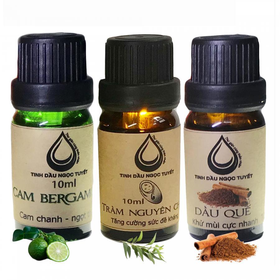 Bộ tinh dầu tạo khôn khí trong lành 10mlx3 (tràm, quế, cam begamot) Ngọc Tuyết