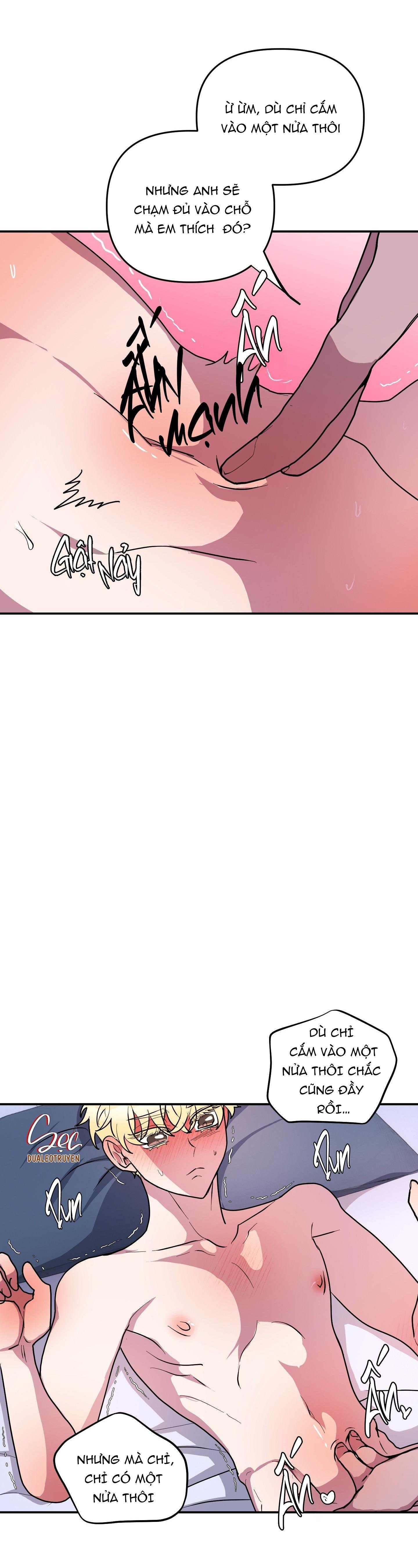 cá mập và cô dâu thỏ chapter 50 7