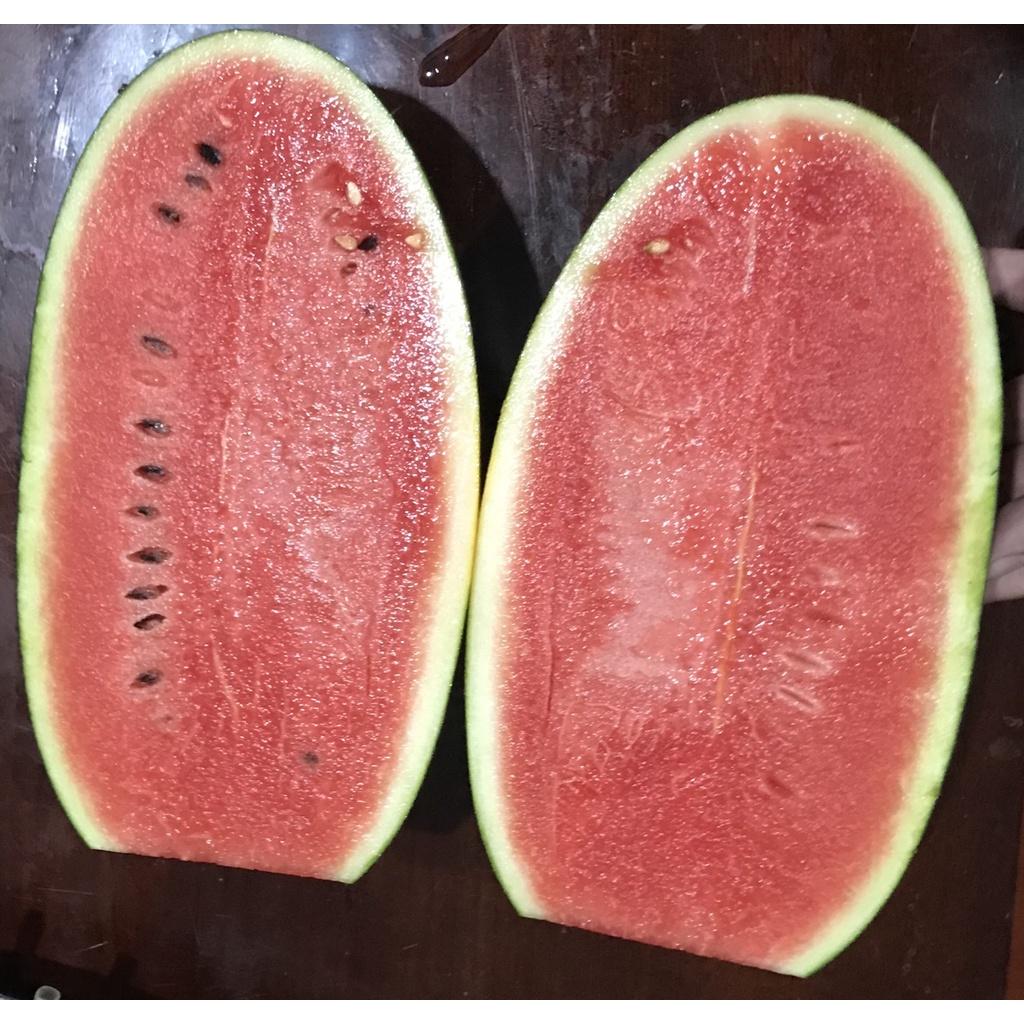 Hạt Giống Dưa Hấu Hắc Mỹ Nhân - Agri RED 909 -