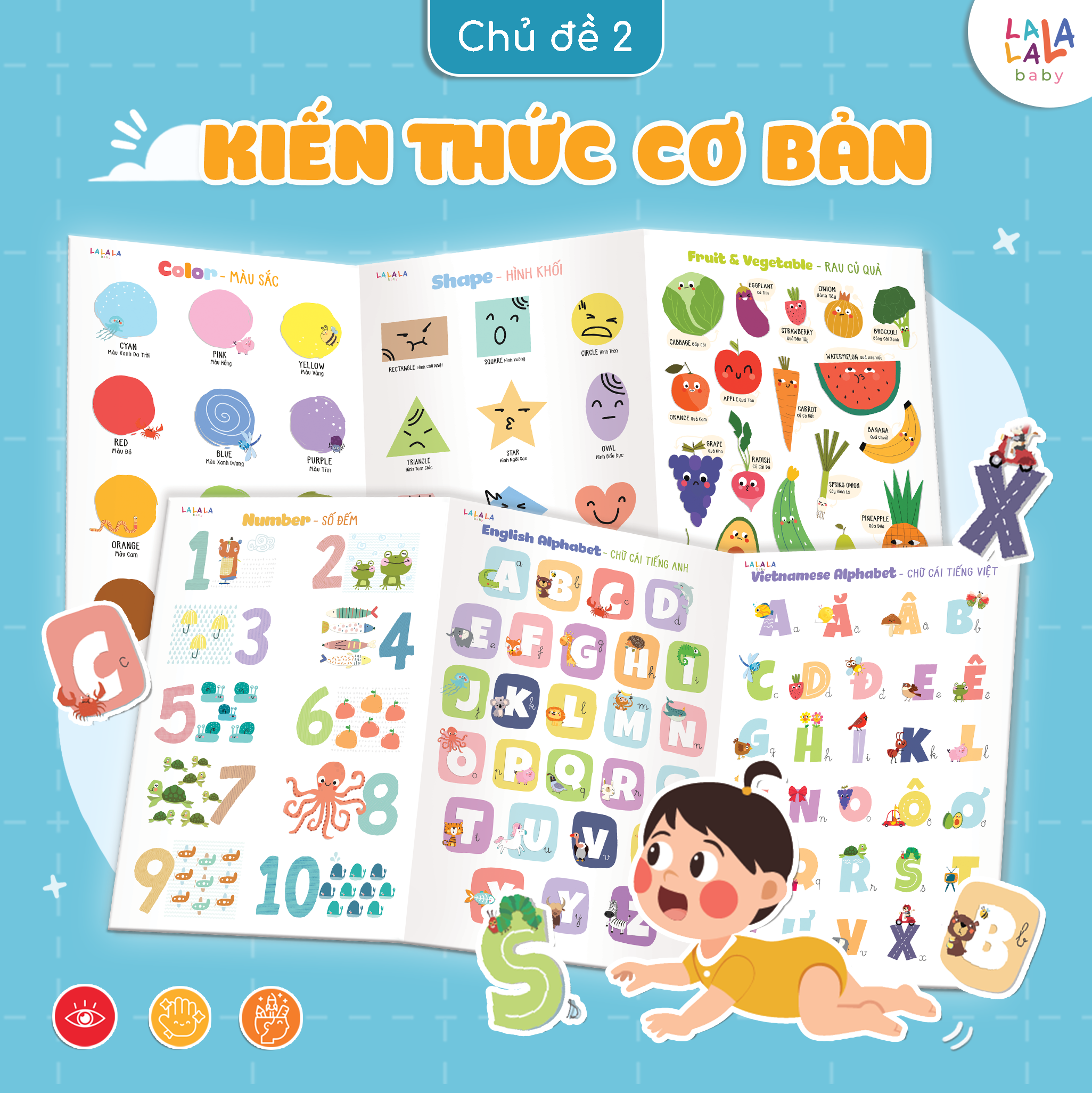 Bảng gấp thông thái - My First Learning chart (Dành cho bé từ 1 tuổi) - Lalala Baby