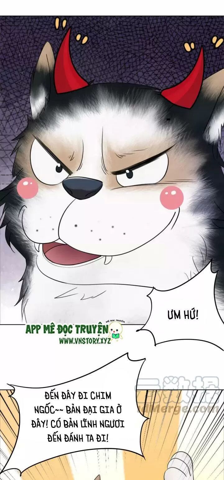 cực phẩm phế vật tiểu thư chapter 106 18