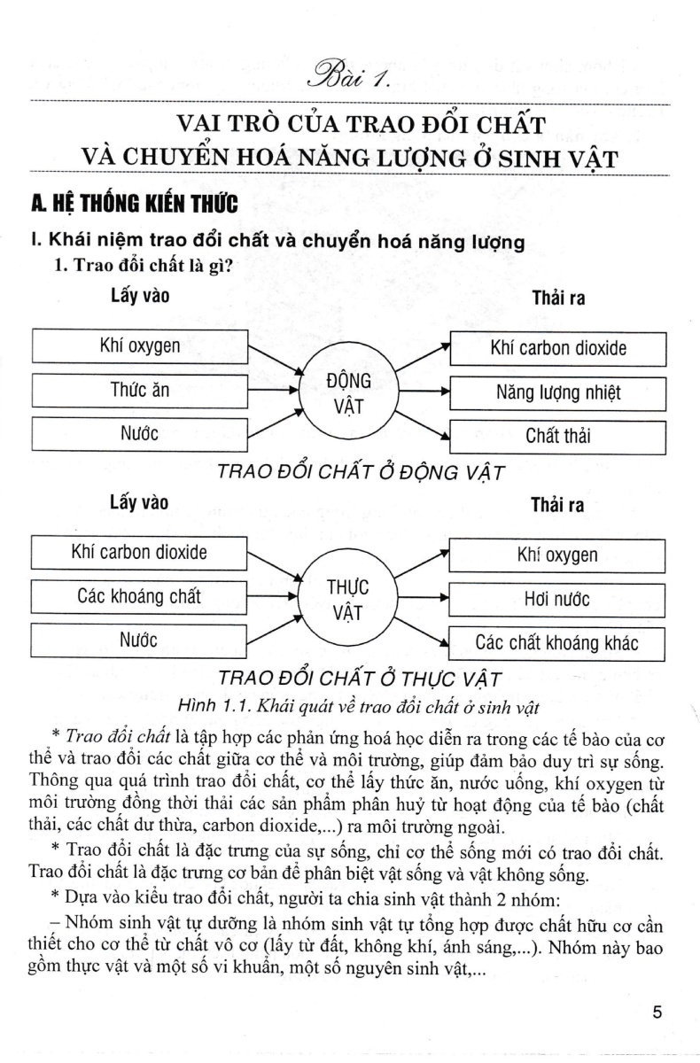 Bồi Dưỡng Học Sinh Giỏi Sinh Học 7 - HA