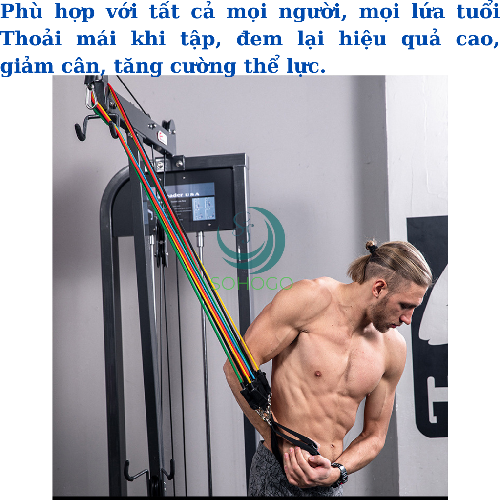 Dây Đàn Hồi Tập Gym 11 Món Tặng Kèm 2 Dây Đai Cổ Tay-Dây Cao Su Kháng Lực Cao Cấp Đa Năng Tập Gym