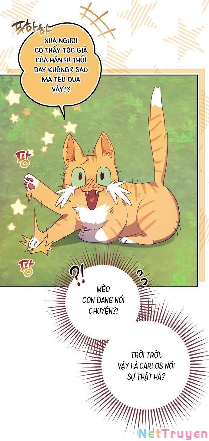 cuộc sống giản dị của người độc thân bị bỏ rơi chapter 9 40