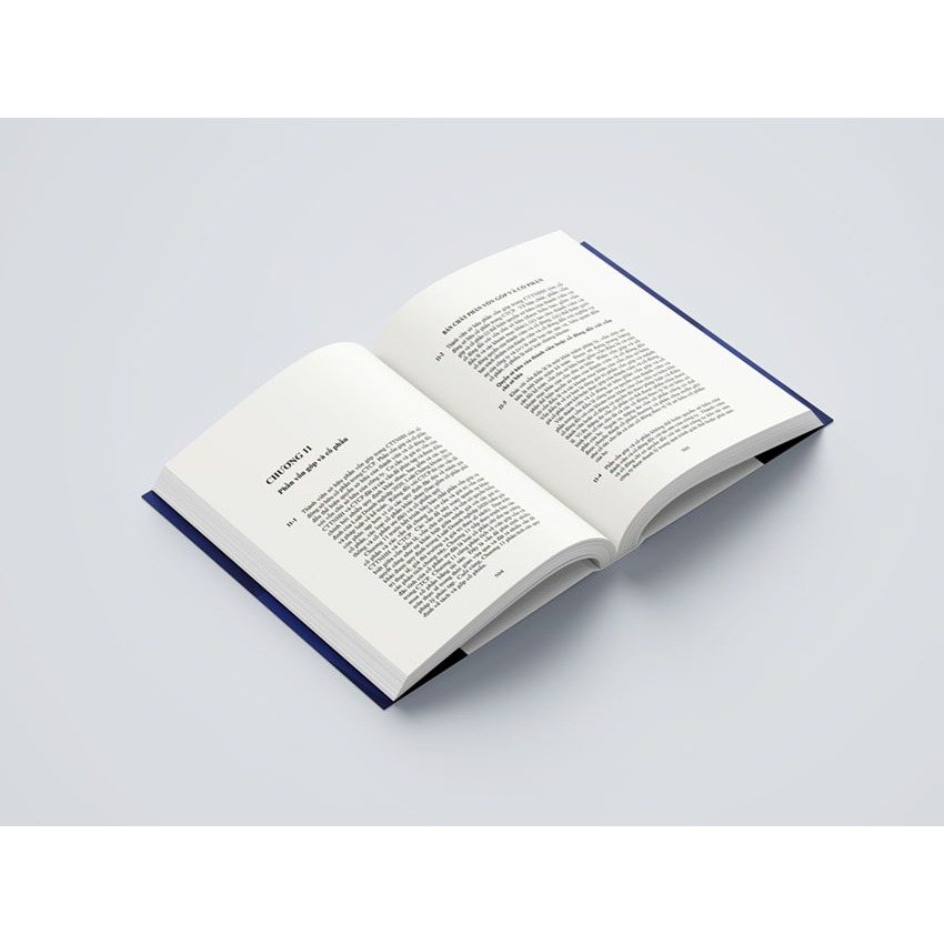 Pháp luật về doanh nghiệp – Các vấn đề pháp lý cơ bản (tái bản lần 1 năm 2024)