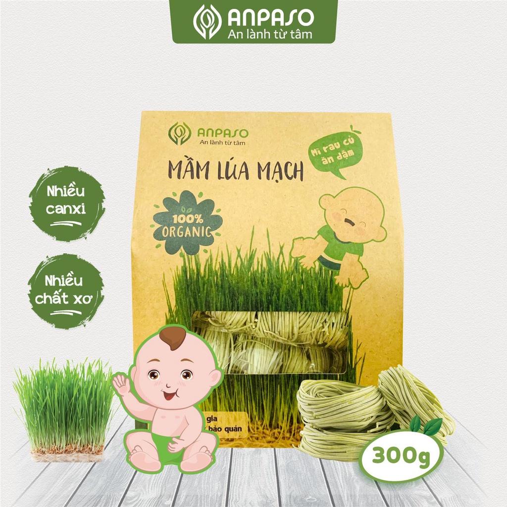 Mì Rau Củ Mầm Lúa Mạch Organic Anpaso Ăn Dặm Cho Bé Từ 6 Tháng Tuổi 120g/ 300g - Bổ Sung Chất Xơ, Giàu Sắt và Các Vitamin C, Nhóm B, A, Cải Thiện Hệ Tiêu Hóa, Tốt Cho Sức Khỏe Của Bé