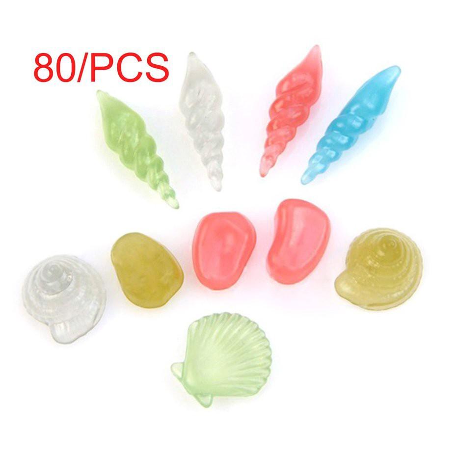 Vỏ sò đá dạ quang-rẻ rẻ