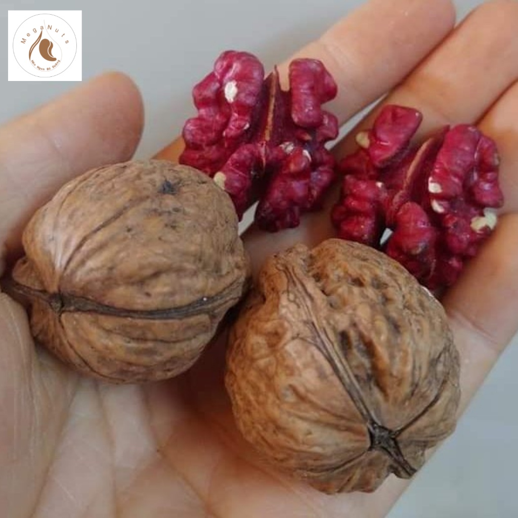 Hạt Óc chó đỏ