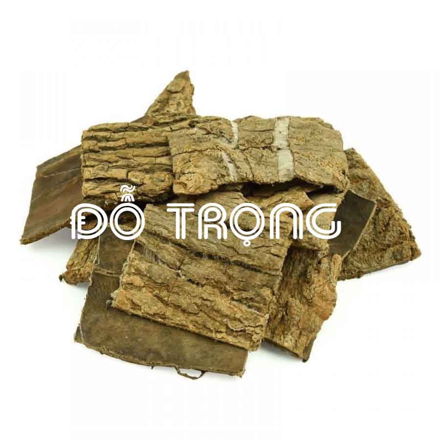 Đỗ trọng vị thuốc bắc khô sạch đóng gói 100gram