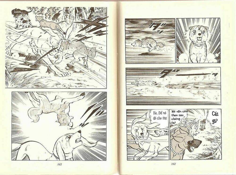 chú chó có nghĩa - ginga nagareboshi gin chapter 10 3