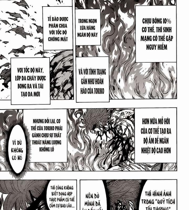 thánh tỏi sành ăn chapter 238 20