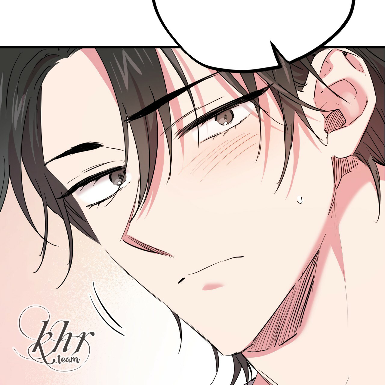 những chú thỏ của hapypy chapter 15 146