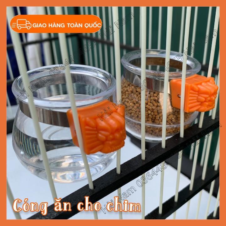 Cóng ăn uống cho chim chào mào , họa my, các loại chim cảnh khác