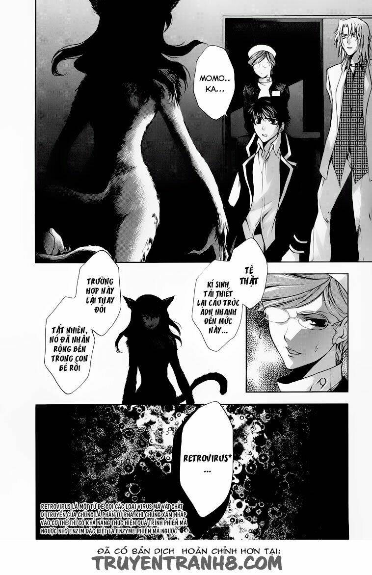 absorb; ability chapter 2 5