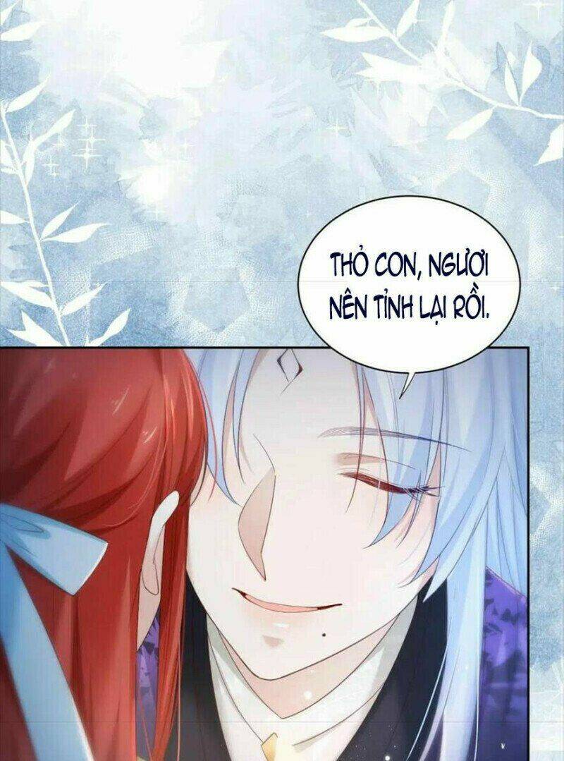 hắc hóa nam chính trực tuyến nuôi thỏ chapter 58 33