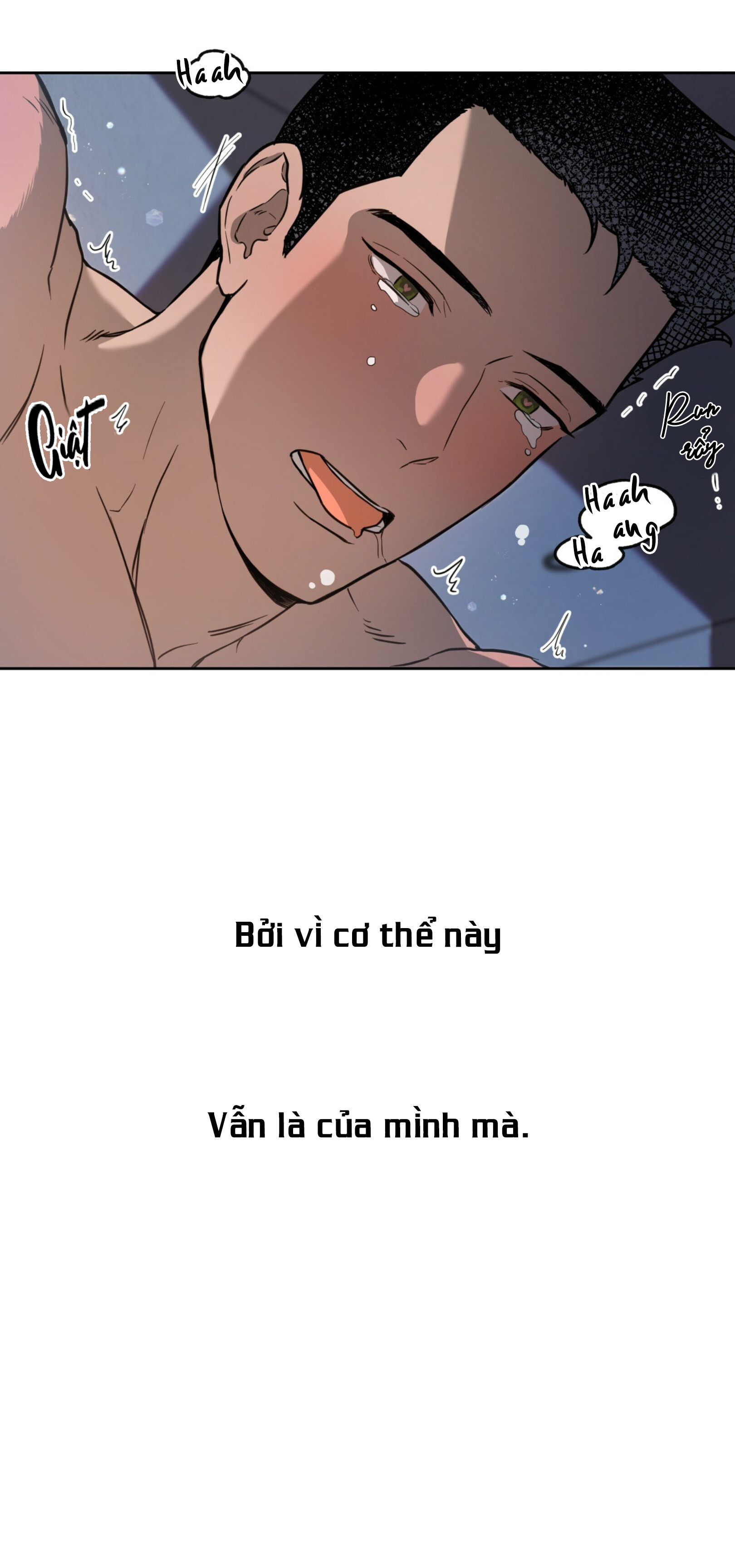 ang ang chapter 14 31