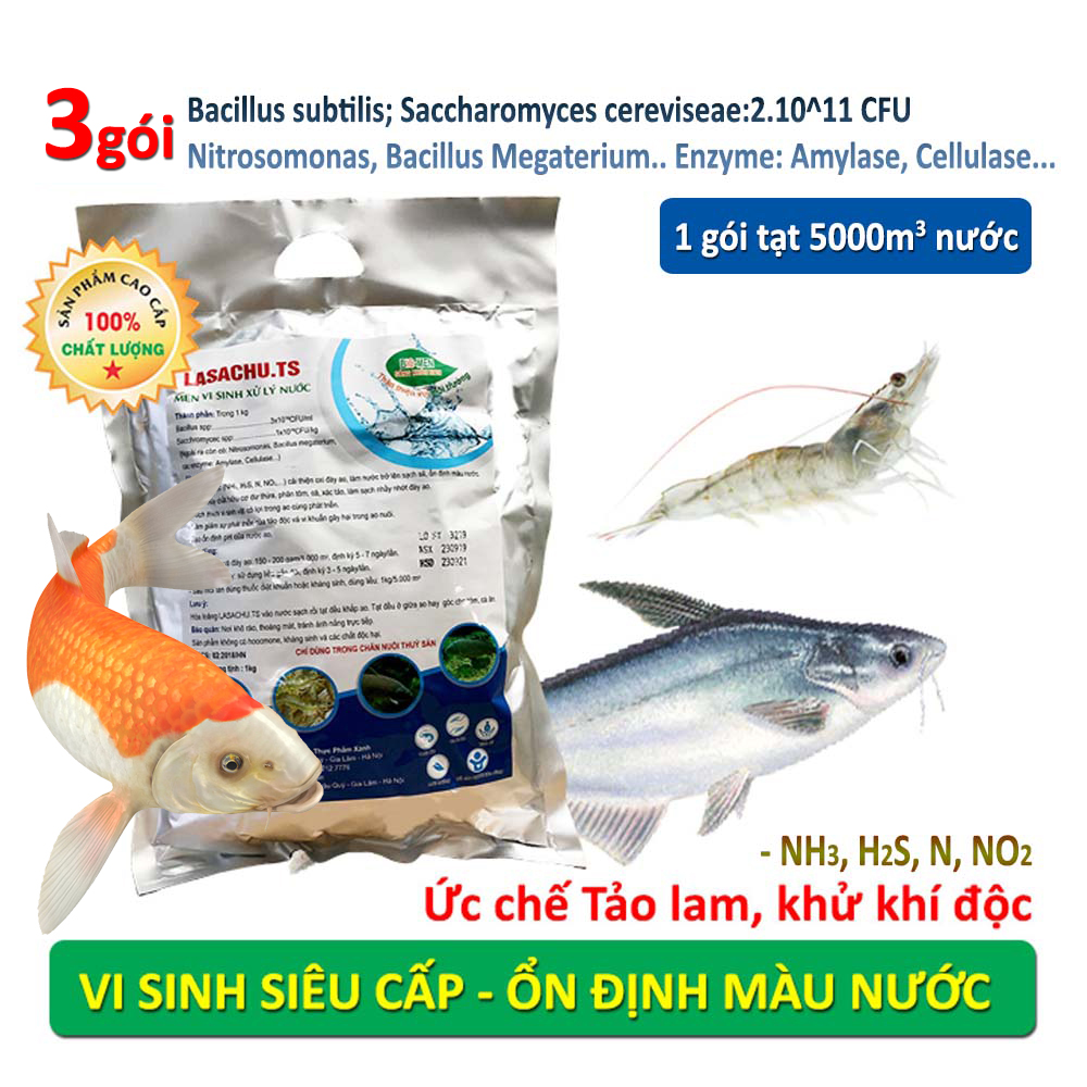 Combo 3 gói Men vi sinh xử lý nước ao hồ Cá Tôm - LASACHU. Làm trong nước, sạch nhớt đáy. Khử mùi hôi, chặn khí độc (NH3, N, NO2, H2S). Ức chế vi khuẩn gây hại. HSD: 2 năm