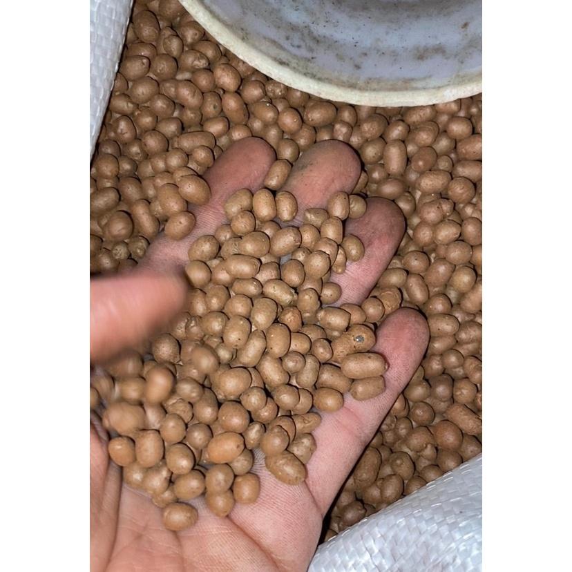 VIÊN ĐẤT NUNG POPPER THÁI SIZE M TÚI 200G