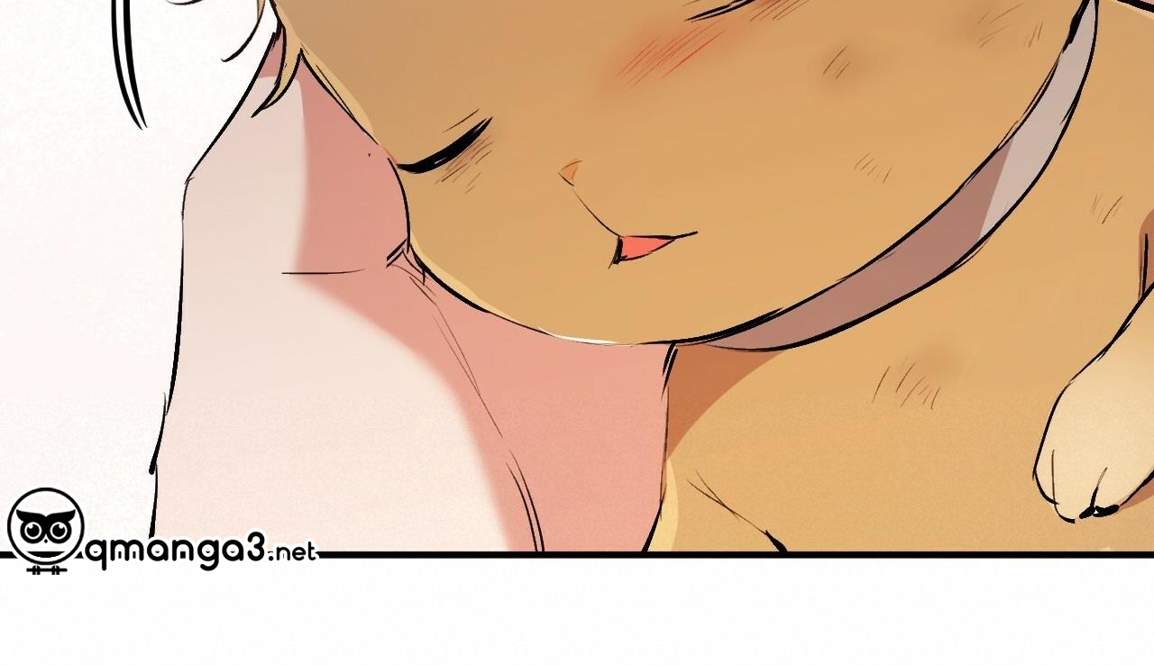 đàn thỏ của habibi chapter 50 266