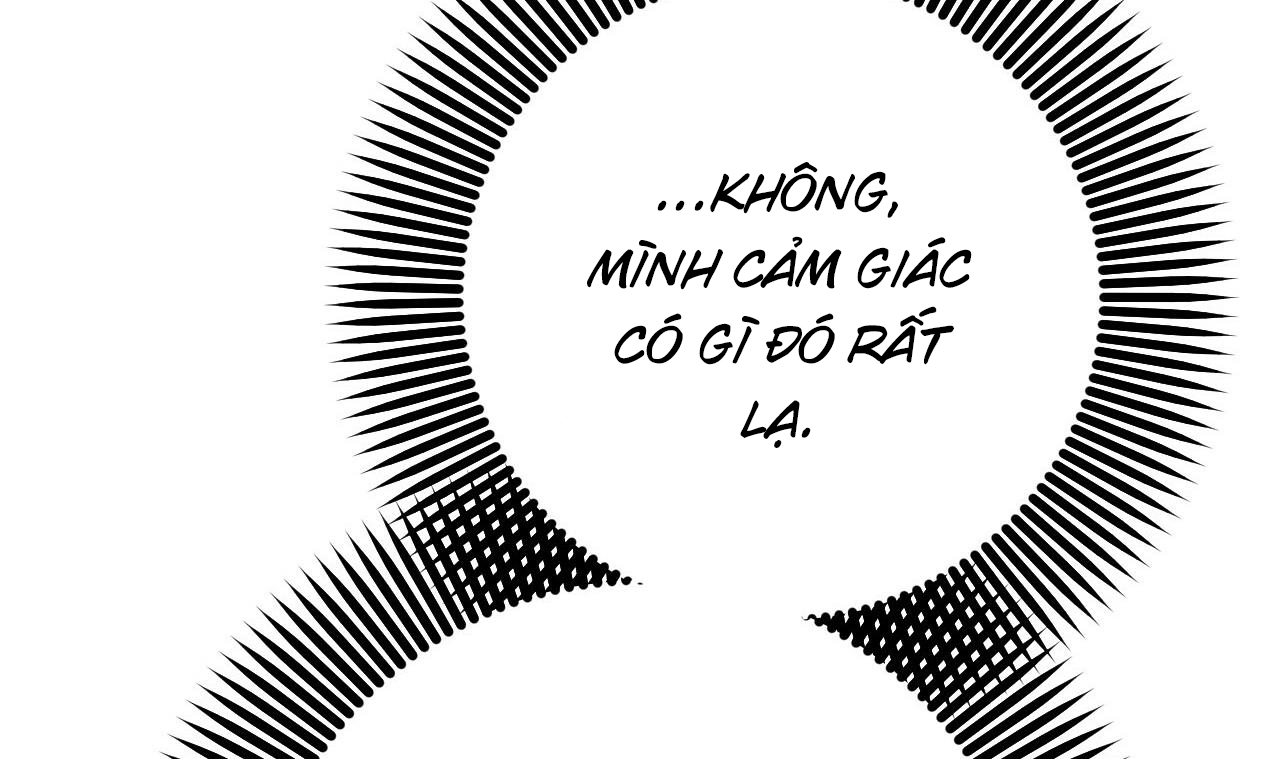 những chú thỏ của hapypy chapter 56 42