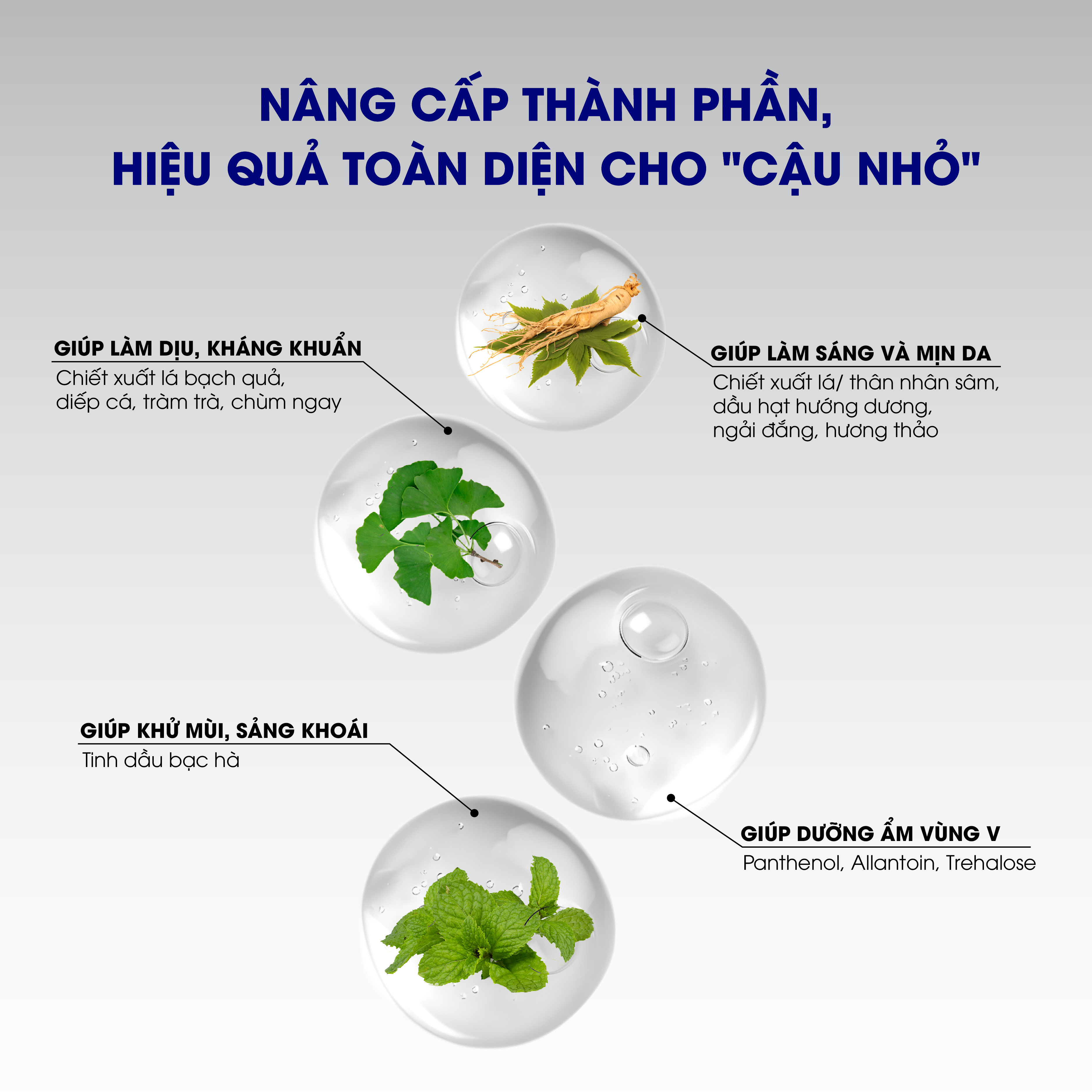 Dung dịch vệ sinh nam Intimate Wash Premium 150ml - Intimate Wash For Men Premium 150ml