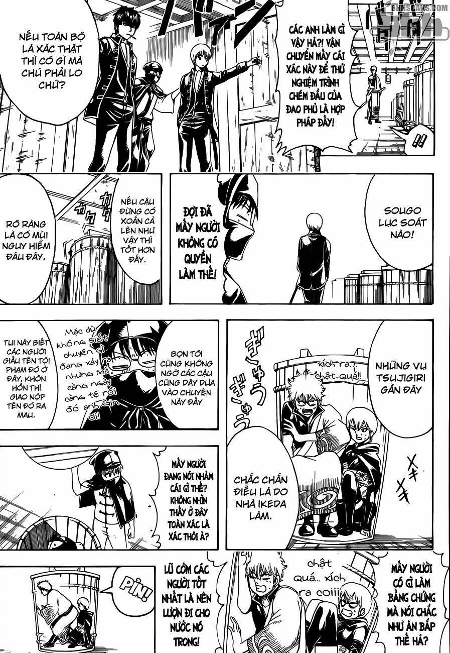 gintama - linh hồn bạc chapter 465 14