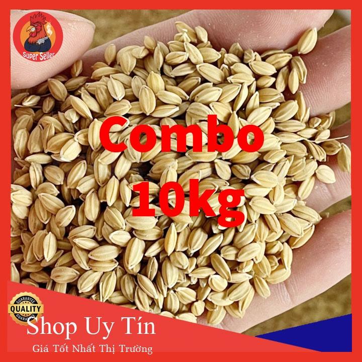 Combo 10kg Lúa Nhật Cho Gà Ăn