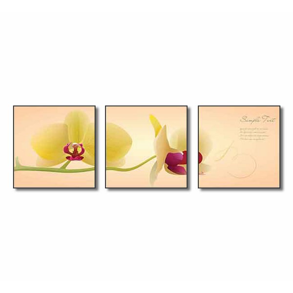 Bộ 3 Tranh Q6D11-CX0035