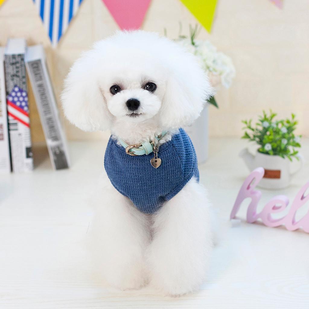 Korean Style Pet Puppy Dog Cat Pet Clothes Dress Vest T Shirt Blue S