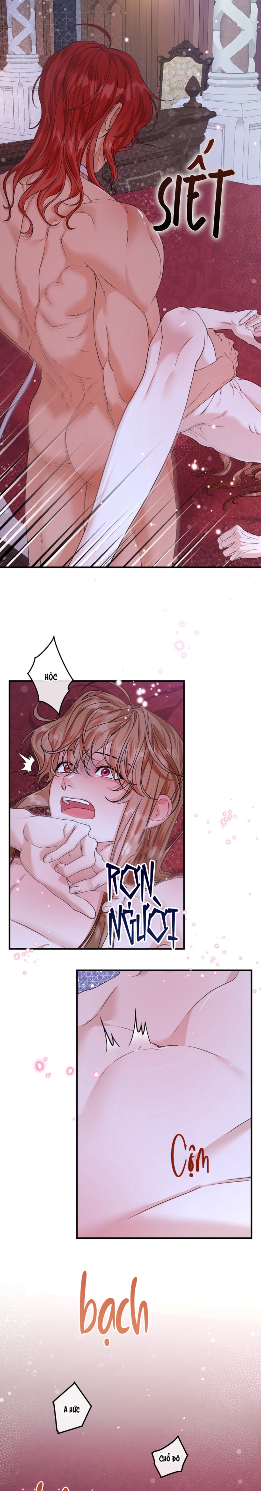 bá tước beta biến đổi thành omega chapter 18 15