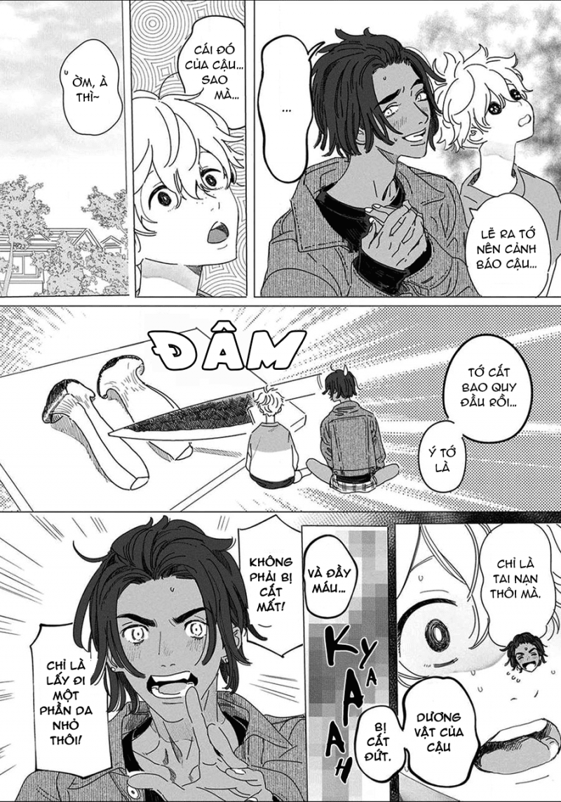 đất nước của những chú sư tử chapter 2 10