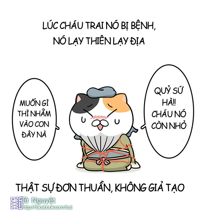 nếu lịch sử là một bầy mèo chapter 12 15