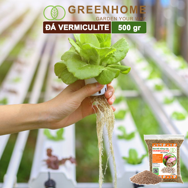 Đá Vermiculite (vơ mi), bao 500gr, ươm hạt giống, trồng rau mầm, đất hoa hồng, sen đá, thuỷ canh |Greenhome