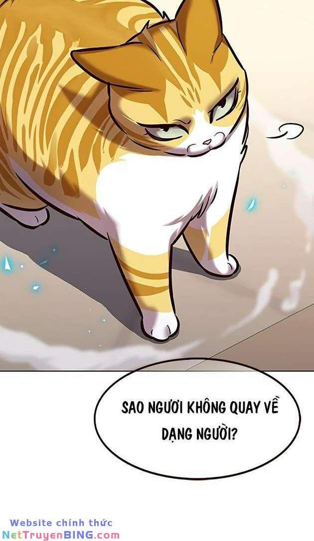 biến thân thành mèo chapter 278 56