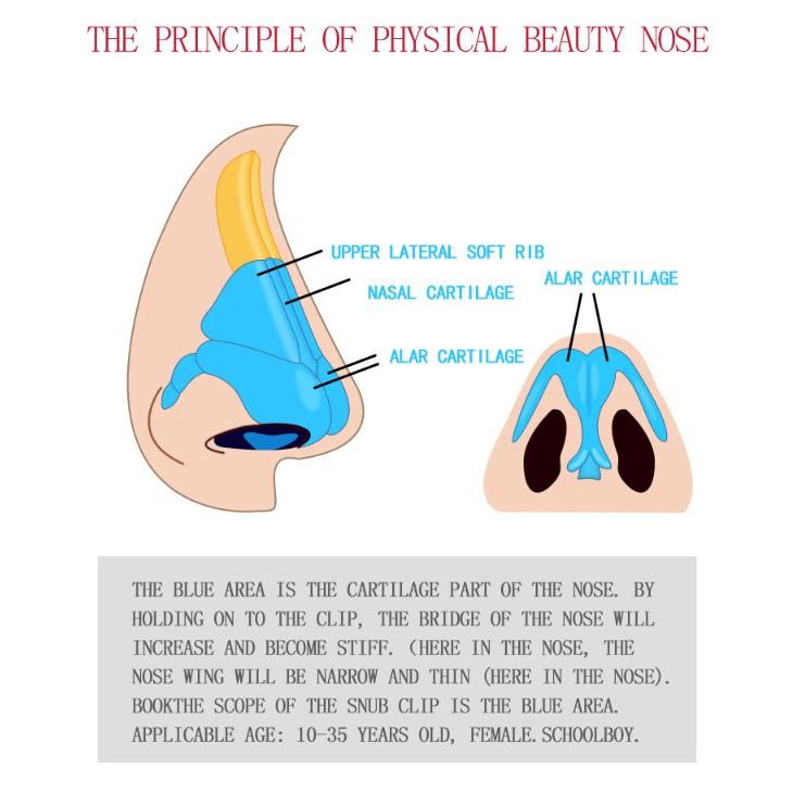Dụng cụ Nâng mũi làm đẹp trị liệu Physical Dr.Nose - AsiaMart