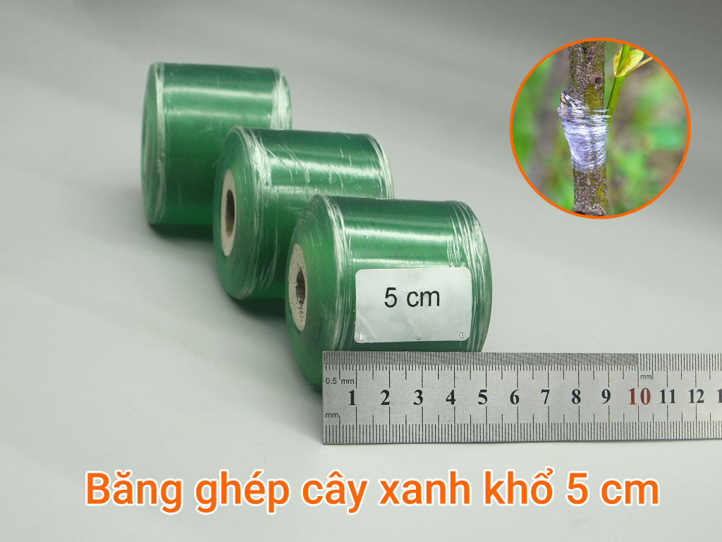 Băng ghép cây xanh khổ 5cm