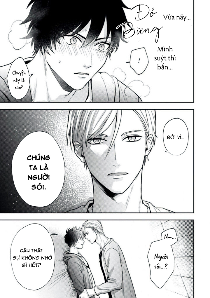 mật ngọt dã thú chapter 1 26